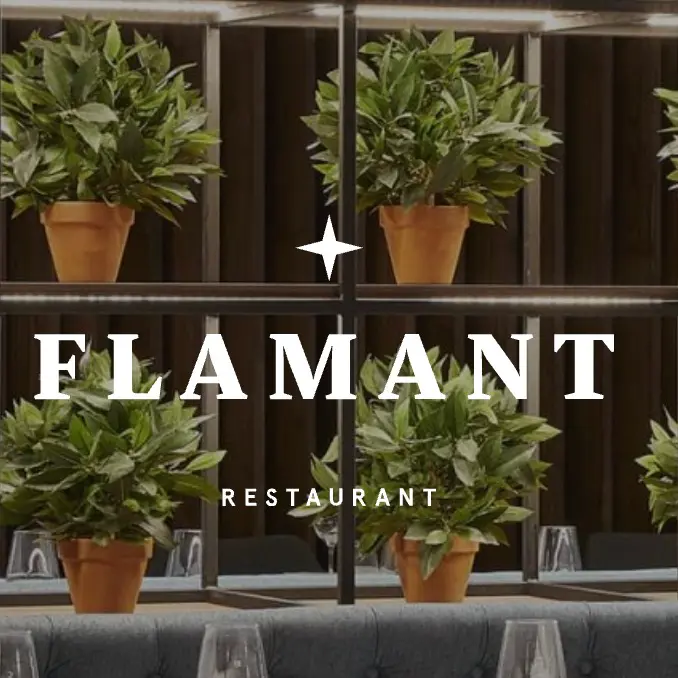 Flamant · 1