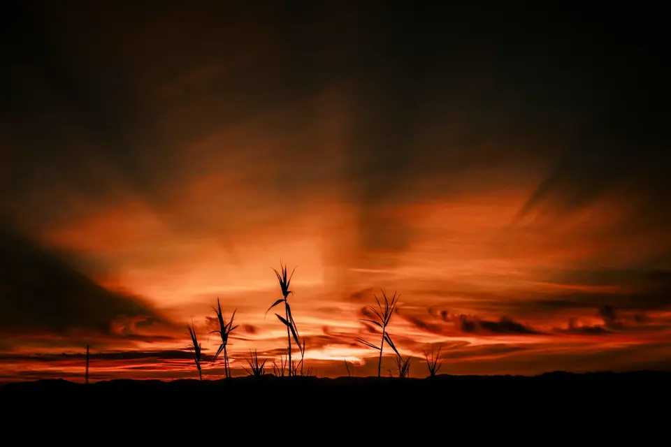 Fotógrafo - Gerard Gil · 5