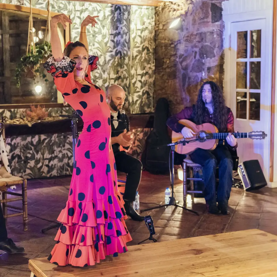 Siente el flamenco · 1