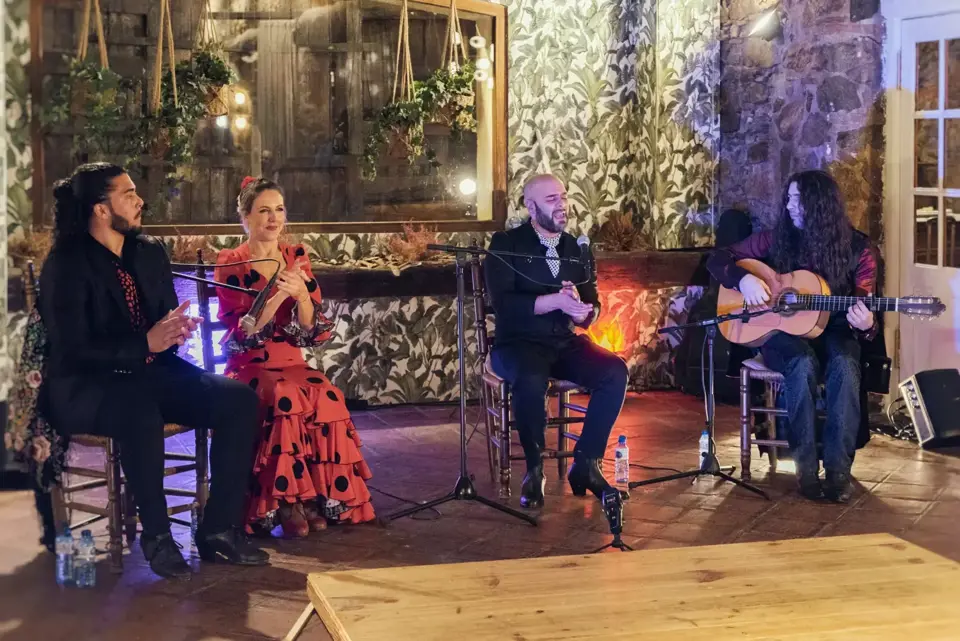 Siente el flamenco · 3