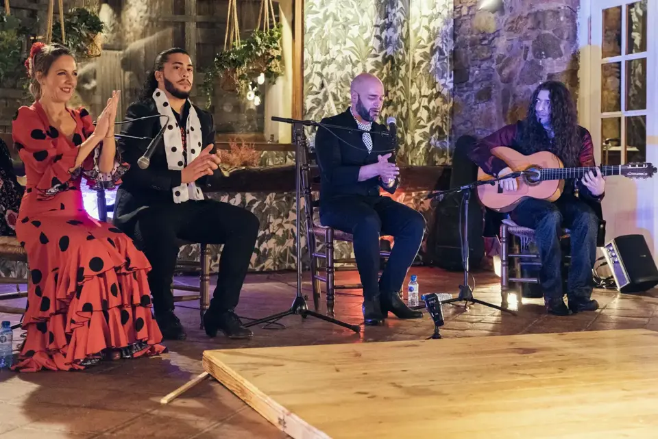 Siente el flamenco · 6